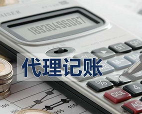 濟(jì)寧金鄉(xiāng)代理記賬中介機(jī)構(gòu)服務(wù)流程詳解