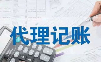 代理記賬行業競爭白熱化，金碑君揭示破局之道